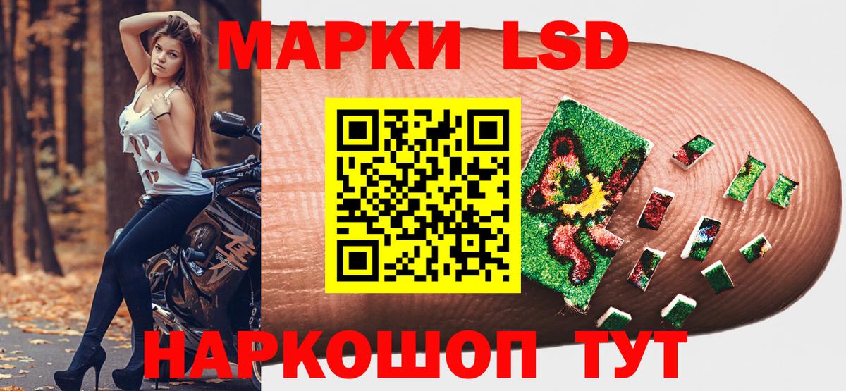 Новозыбков  ГАШ  АМФЕТАМИН   Вход с VPN  ЭКСТАЗИ  NBOMe  Марихуана  Alpha PVP СК кристаллы  МЕФ  