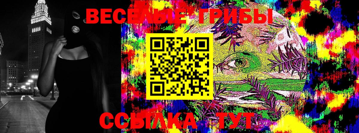 Галлюциногенные грибы прущие грибы Новозыбков